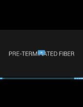 Video-pre-terminated-fiber