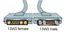 13w3 female