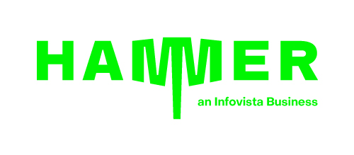 Hammer_Infovista_Logo_Safe_Green_500