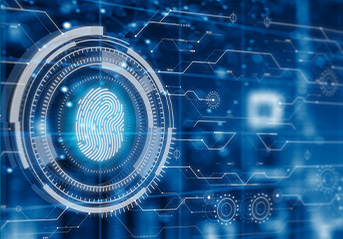 network security solutions
